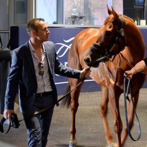 Meet your Posher, Jeff